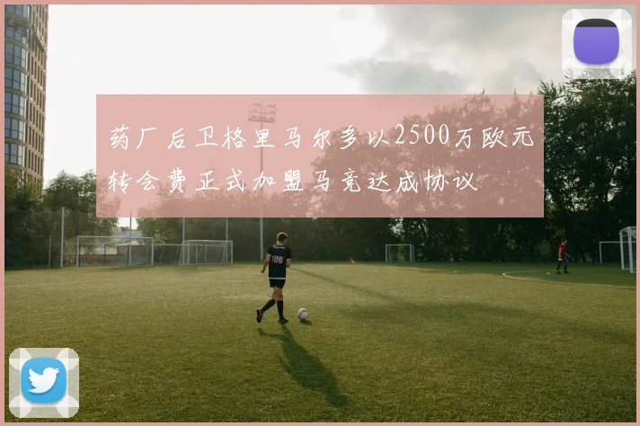药厂后卫格里马尔多以2500万欧元转会费正式加盟马竞达成协议