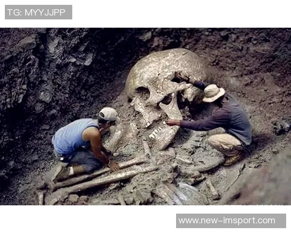 我对韦尔的挑战只是客观评价他进步的表现并无夸大之意 我对韦尔的挑战只是客观评价他进步的表现并无夸大之意