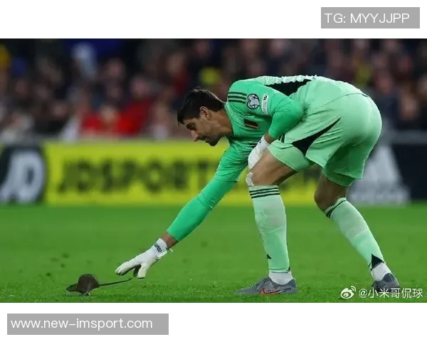 库尔图瓦谈老鼠事件表示绝不会伤害小动物将其安全放生 库尔图瓦谈老鼠事件表示绝不会伤害小动物将其安全放生